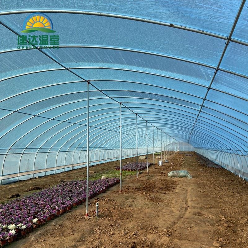 single tunnel greenhouse.jpg