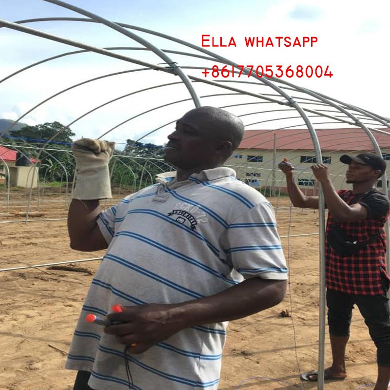 tunnel greenhouse price tunnel greenhouse price