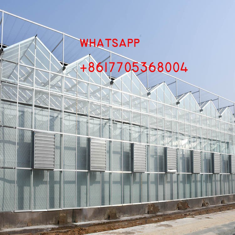 venlo greenhouse venlo greenhouse