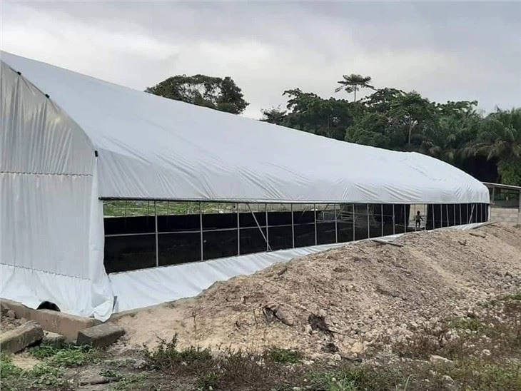 Black And White Film Greenhouse Single Span