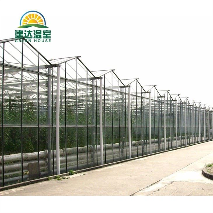 Hydroponic Indoor Farming Greenhouse