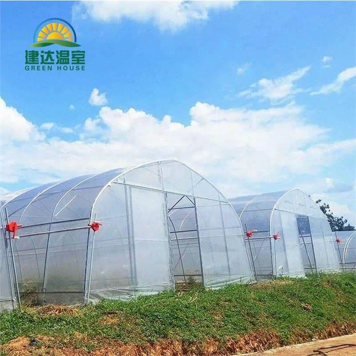 PO Film Vegetable Greenhouse