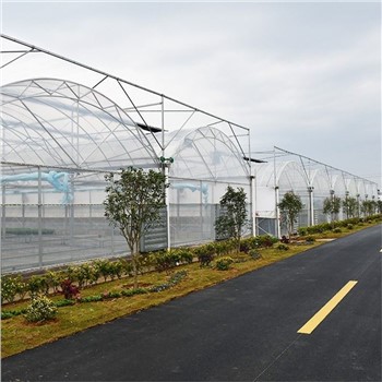 Ffilm Clawr Tŷ Gwydr