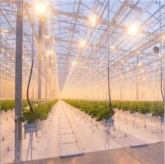 System Goleuadau Tŷ Gwydr