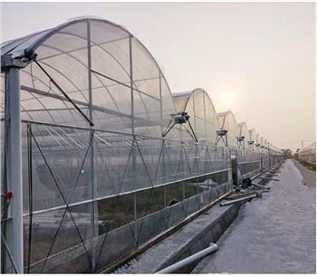 Tai Gwydr Amaethyddol Haen Sengl