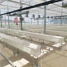 Hydroponeg yn Tyfu Gwteri