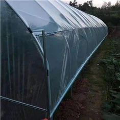 Pris Tŷ Gwydr Twnnel Mini