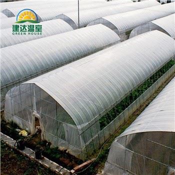 PO Film Llysiau Tŷ Gwydr