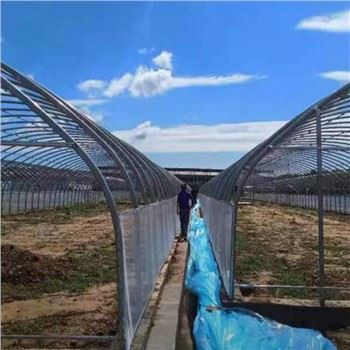 Tŷ Gwydr Ffilm Singlespan