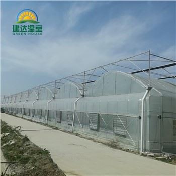 Tŷ Gwydr Letys Llysiau Gyda Hydroponig