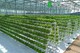 Hydroponics Tyfu'n Ddi-bridd