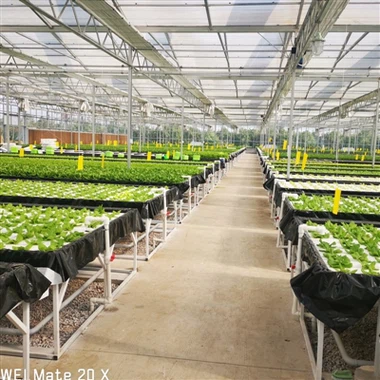 System hydroponig arnofio