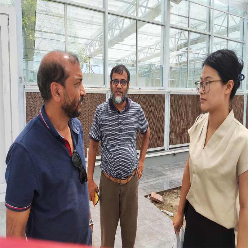 greenhouse factory greenhouse factory